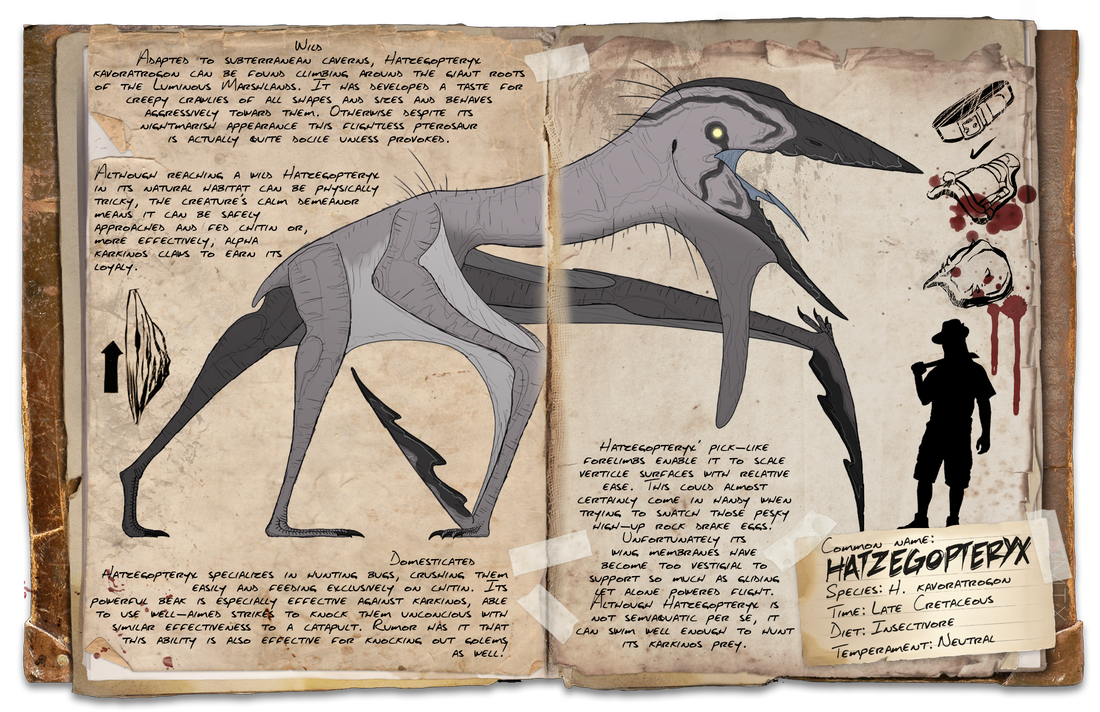 hatzegopteryx-dossier-07-09-2023_orig.pn